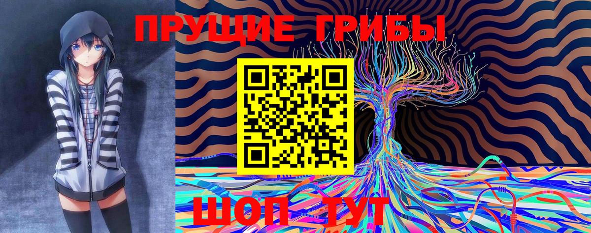 Галлюциногенные грибы мухоморы Заволжье