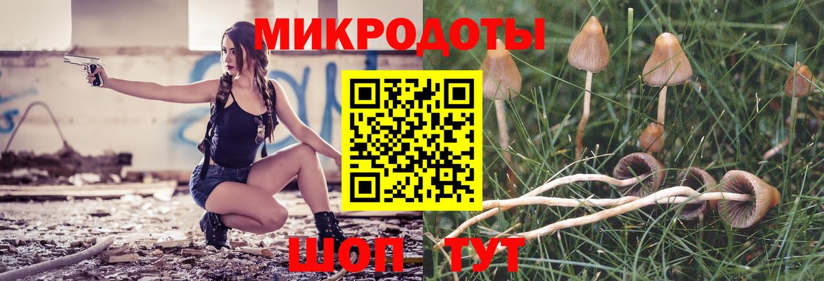 Галлюциногенные грибы GOLDEN TEACHER  Псилоцибиновые грибы Cubensis  Вход с VPN  Заволжье 